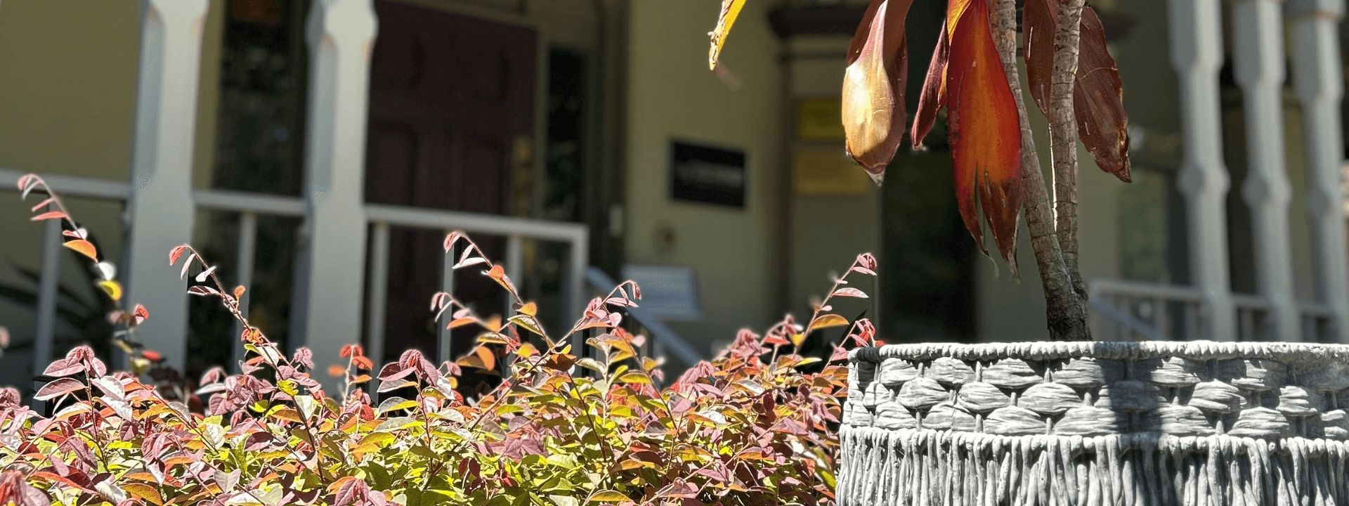 Banner Content Background