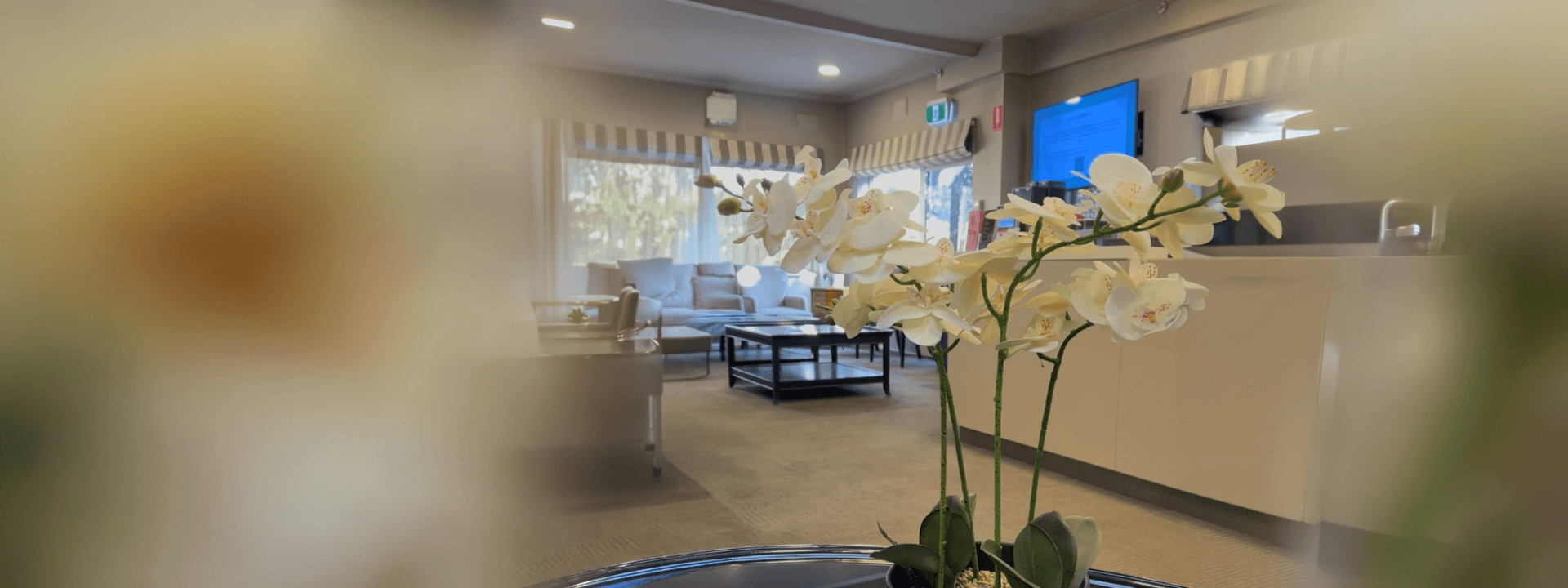 Banner Content Background